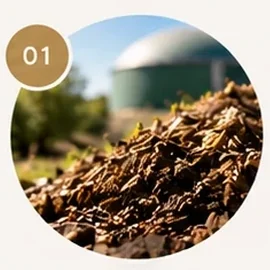 Organic resources beside a biogas plant, 01