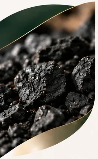 Close-up of biochar in a leaf-shaped frame
